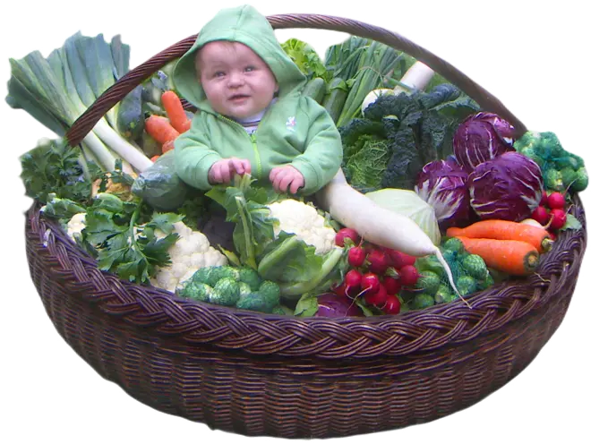 Korb Kind Gemüse